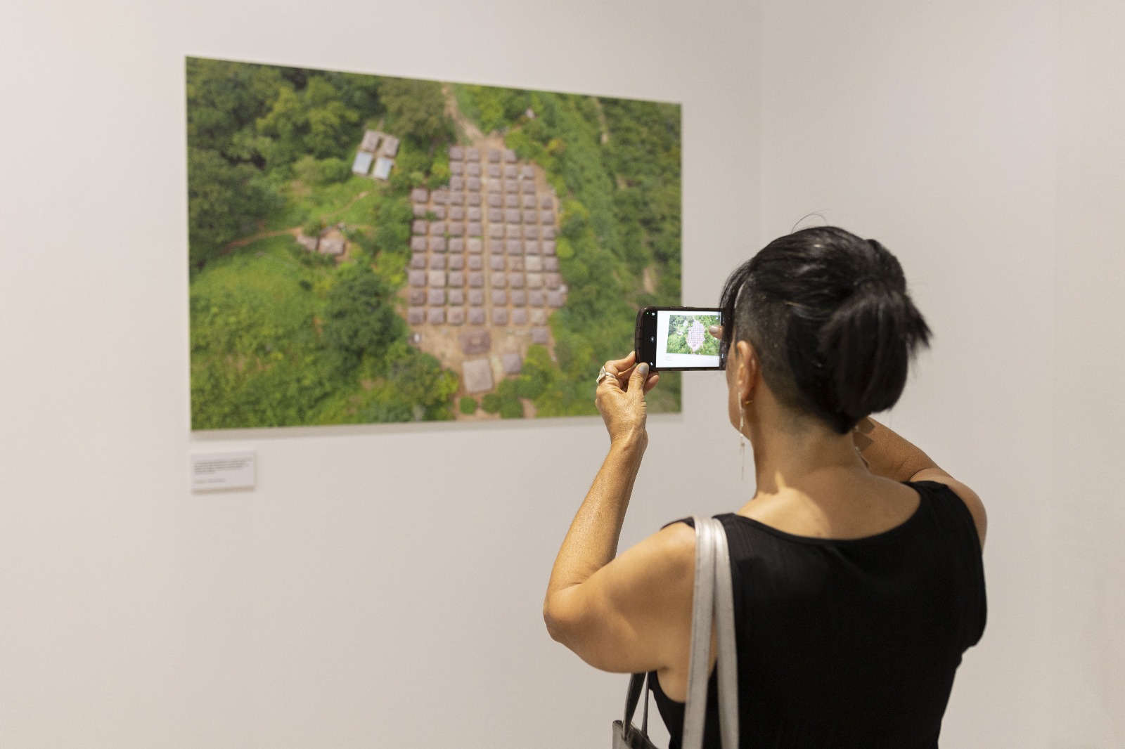 Exposición “Mambeo: Tiempo y Palabra en la Sierra Nevada”