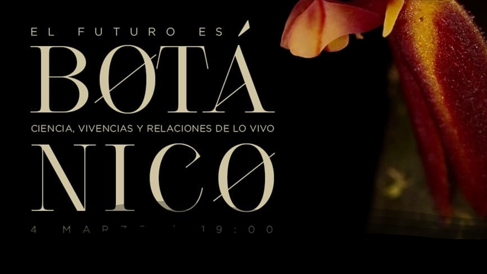 Mesa redonda: El futuro es botánico: ciencia, vivencias y relaciones de lo vivo