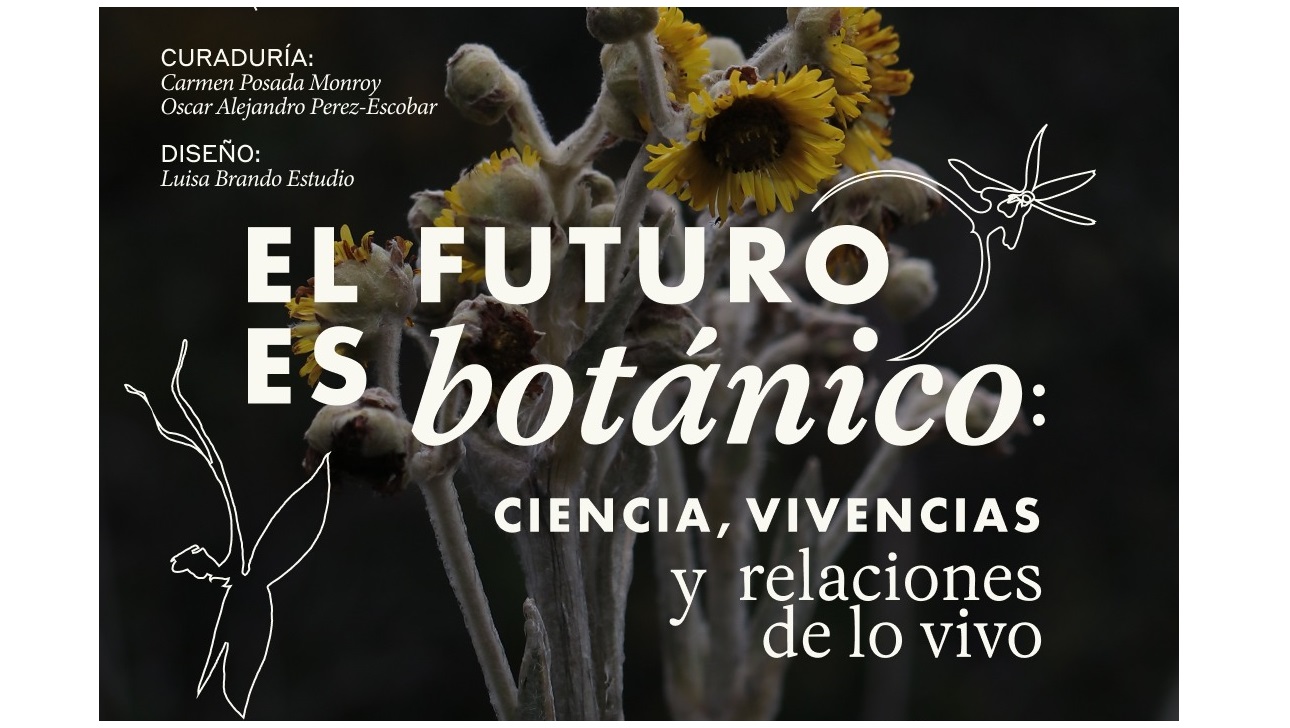 Colombia participa en ARCO 2026 con la exposición: “El futuro es botánico” y una mesa redonda sobre arte, ciencia y naturaleza
